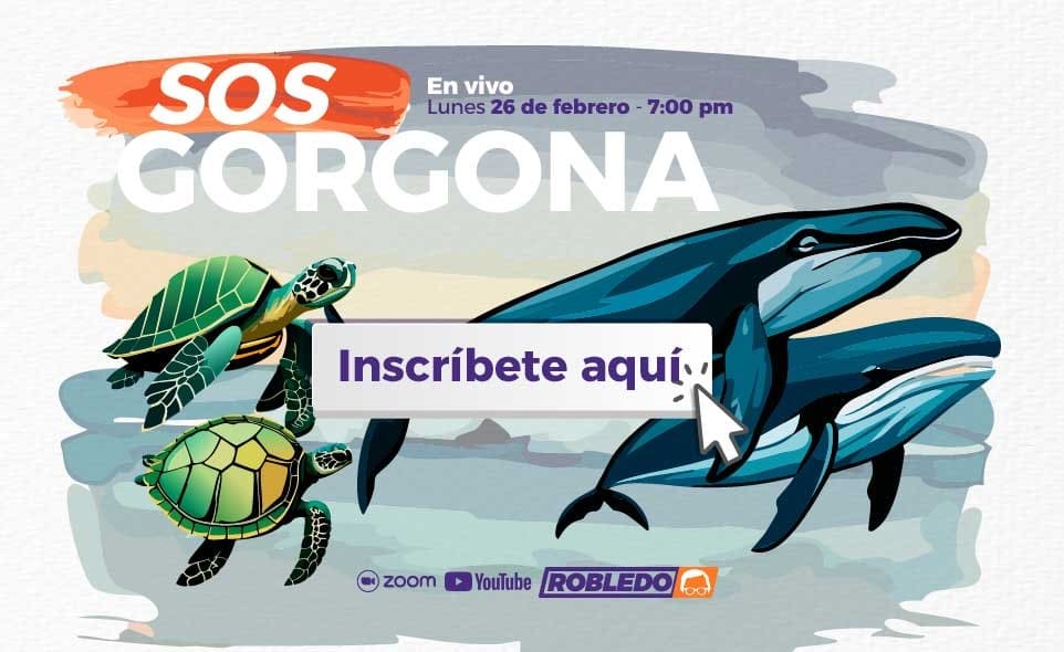 SOS Gorgona